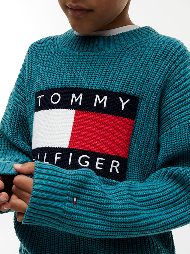 Pullover Heritage in maglia grossa con logo